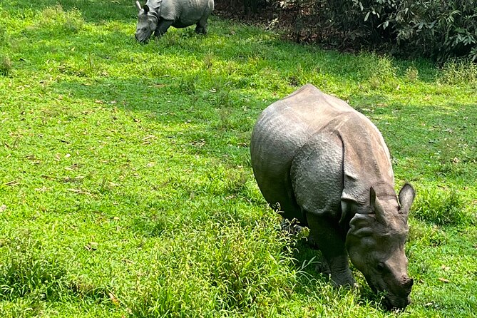 3-Day Guided Safari Tour in Chitwan National Park in Nepal - Key Activities