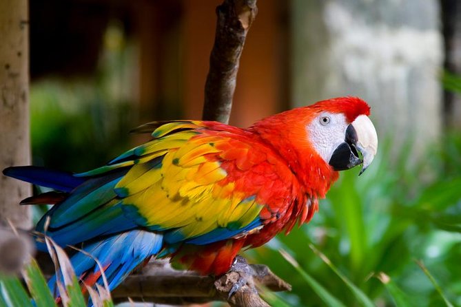3 Day Iquitos Jungle Adventure at Muyuna Lodge - Overview of the Adventure