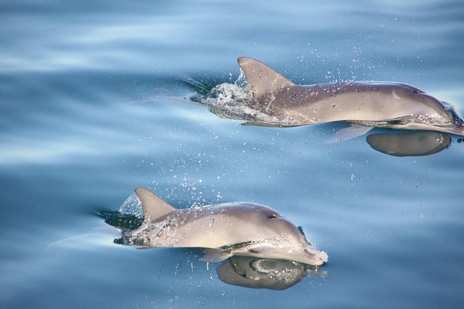 3-Day Small-Group Eco-Tour From Adelaide: Southern Yorke Peninsula - Pricing and Duration