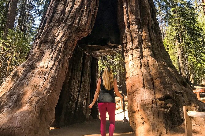 3-Day Yosemite Camping Adventure From San Francisco - Reasons to Choose This Tour