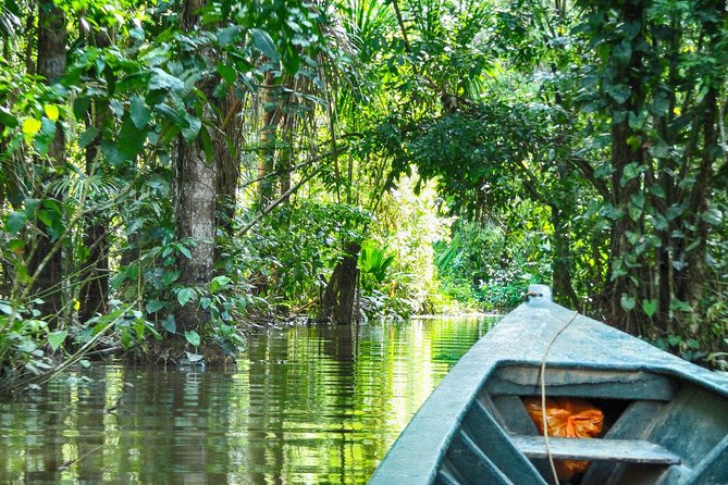3 Days 2 Nights - Tambopata Jungle - Accommodation and Amenities