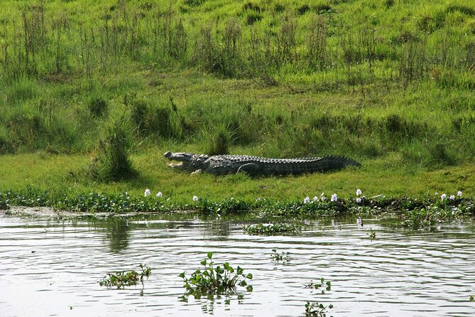 3 Days and 2 Nights Chitwan National Park Safari Tour in Pokhara - Inclusions and Services