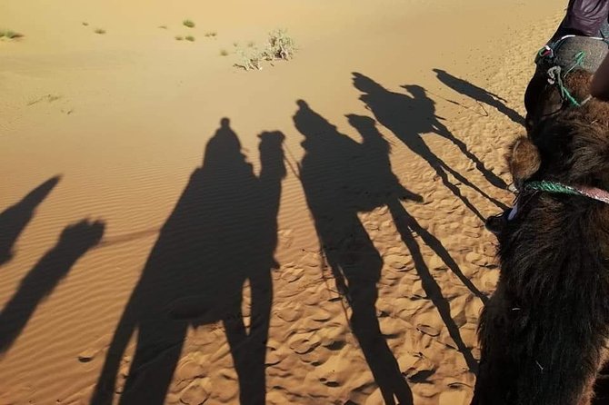 3 Days Fez to Marrakech via Sahara - Traveler Tips and Reviews