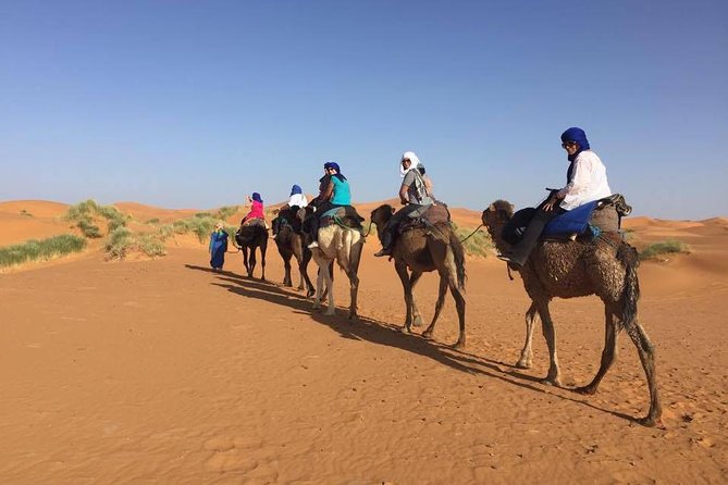 3 Days Tour From Fes to Marrakech - Itinerary Overview