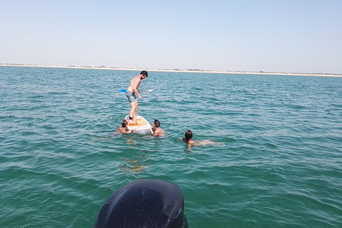 3-Hour Boat Ride Through the Bay of Cadiz - Booking and Confirmation Process