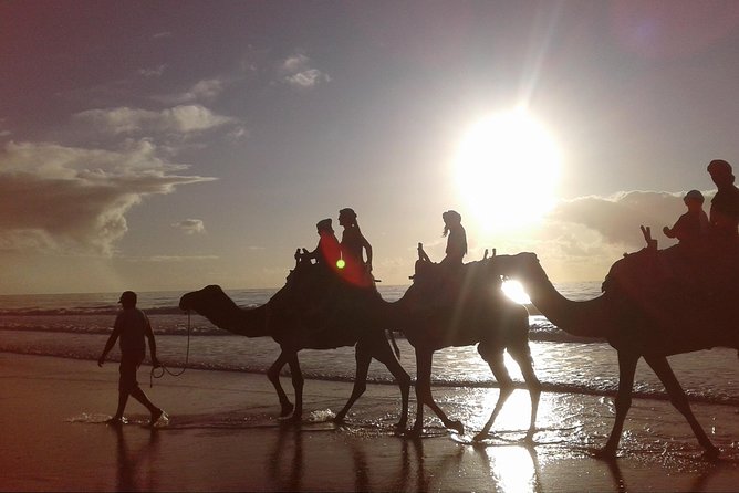 3-Hour Camel Ride at Sunset - Pricing and Value
