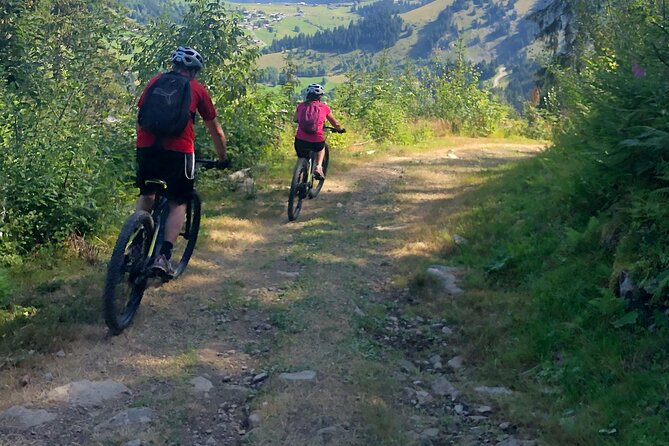 3-Hour Electric Mountain Bike Outing in the Semnoz - Overview and Pricing