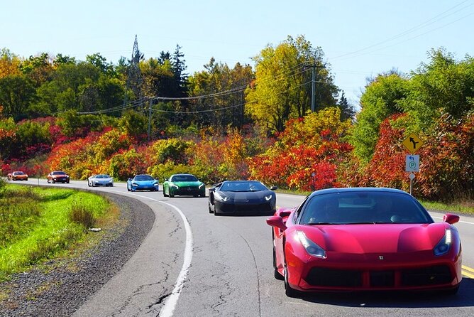 3 Hour Exotic Car Tour Driving 4 to 5 Super Cars - Tour Details