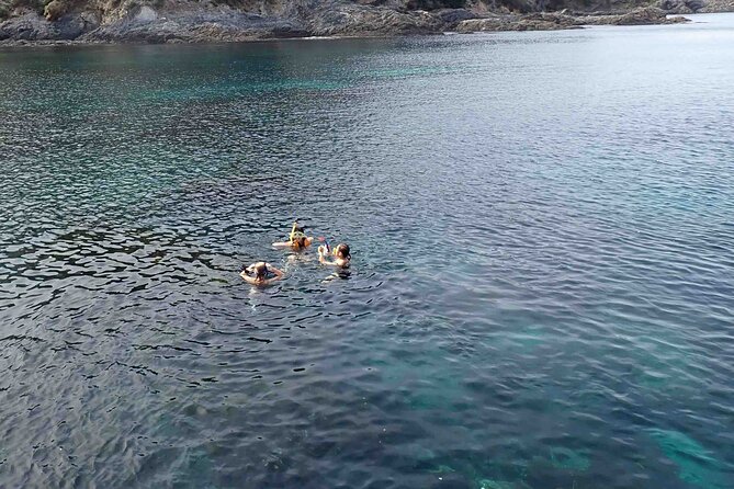 3-Hour Kayak and Snorkeling Experience in Batemans Bay - Overview and Details