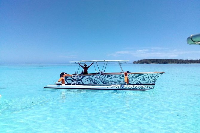 3-hour Lagoon Snorkeling Tour - Private Tour - Meeting and Pickup