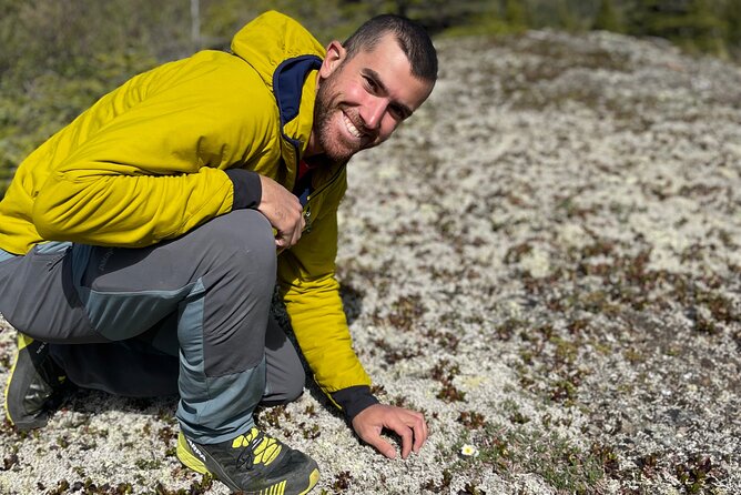 3 Hour Naturalist Walking Tour in Denali National Park - Common Questions