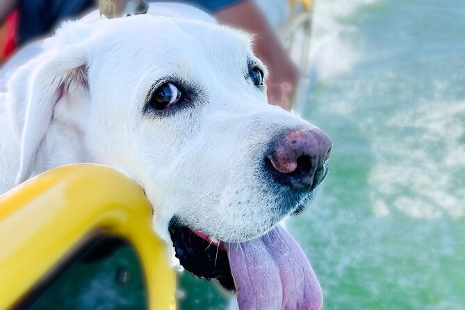 3 Hour Private Boat Charter on Lake Travis for up to 12 People - Boat Charter Details
