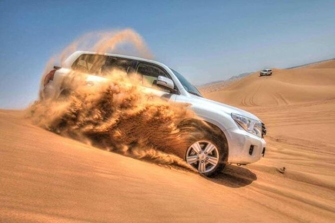 3-Hour Private Dubai Morning Safari Tour - Tour Highlights