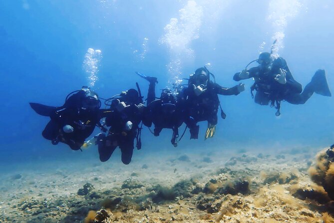 3 Hour Private Scuba Diving Experience - Meeting and Transportation Details