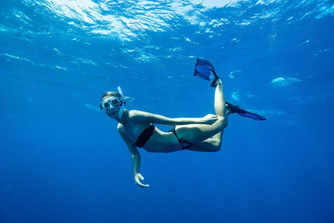 3-Hour Private Underwater Photo Session - Pricing and Booking Details