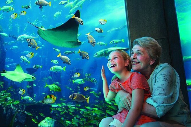 3-Hour the Lost Chambers Aquarium Tickets With Pick and Drop off - What Is the Lost Chambers Aquarium?