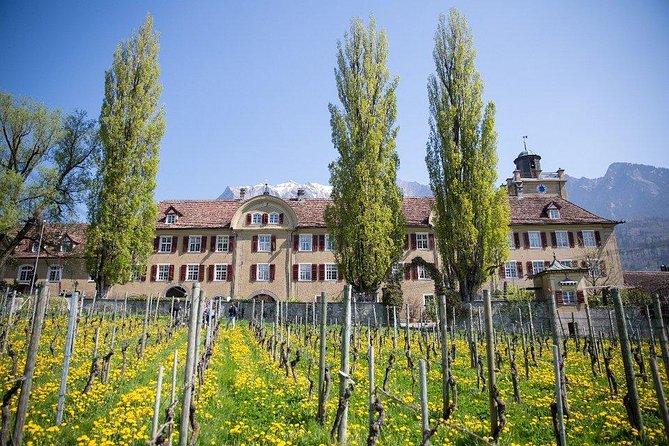 3 Hour Unique Wine Tour - Half Day in Swiss Alps - Tour Details and Inclusions
