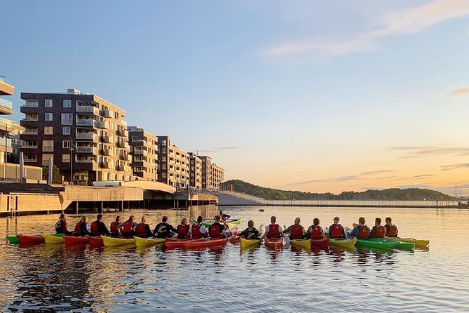 3-Hour Vatt Kørt Kayak Intro Course - Course Overview