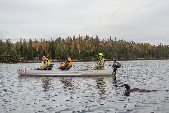 3 Hour VIP Electric Canoe Photography Tour (Private, Price Is for 2 People) - Cancellation Policy and Reviews