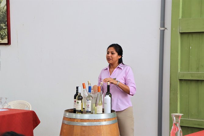 3-Hour Wine and Pisco Tour / Tacama and El Catador - Tour Highlights