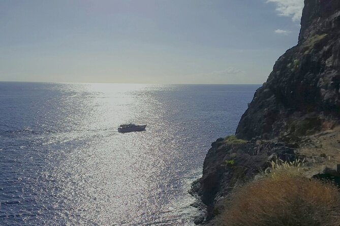 3 Hours Boat Excursion for Whale Watching in La Gomera - Inclusions