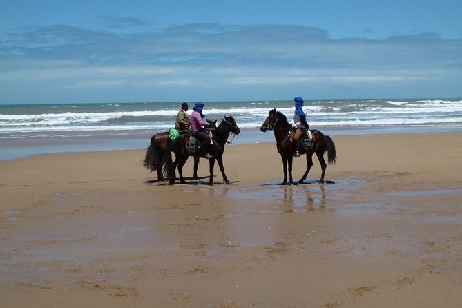 3 Hours Horse Riding in Essaouira, Beach, Forest and Dunes - Tour Details and Inclusions