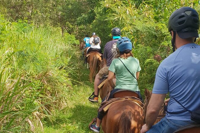 3 Hours Horseback Riding From Nature Trails to Sofa Stone - Captivating Vistas of Basseterre and the Caribbean Sea