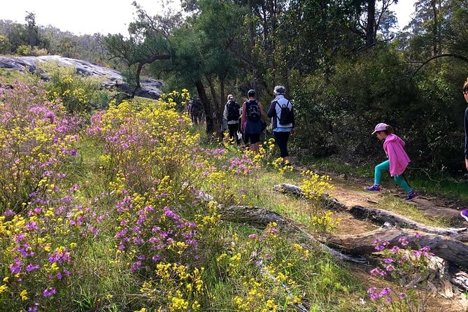 3-Hours Mummy and Me Hike Tea in Forrestfield - Trail Description and Difficulty Level