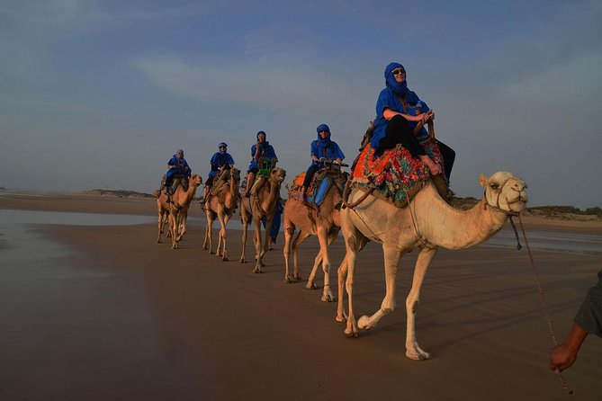 3 Hours Ride on Camel at Sunset - Tour Details