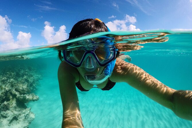 3-Hours Snorkeling Activity in Stingray City - Activity Details