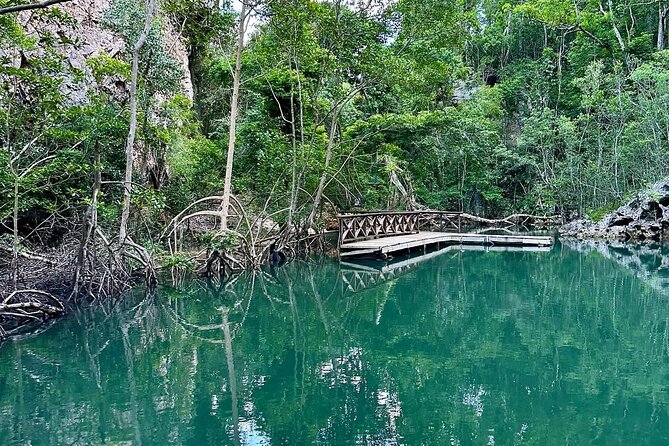 3 in 1 Full-Day Los Haitises N Park & Yanigua SPA From Punta Cana - Los Haitises National Park: Discover the Natural Wonders
