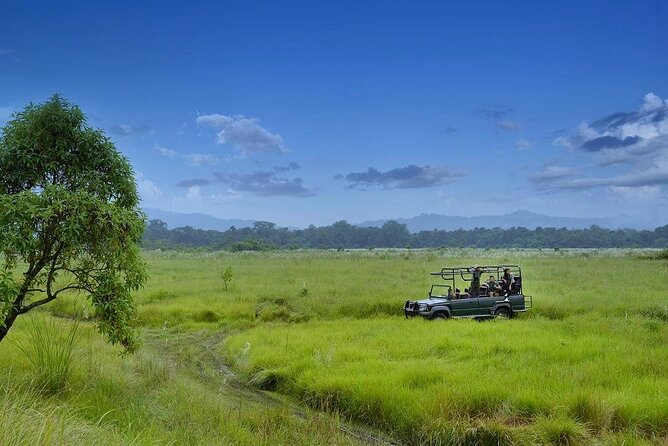 3 Nights 4 Days Chitwan National Park With Tower Night Stay - Trip Itinerary