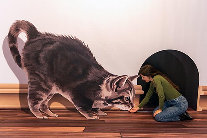 3D Fun Art Museum Funchal - Traveler Photos