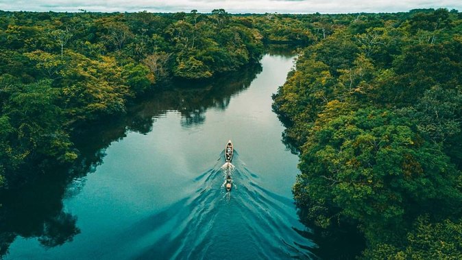 4-Day Amazon Jungle Tour at Eco Amazonia Lodge - Overview of the Amazon Jungle Tour