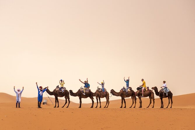 4 Day Desert Tour From Marrakech to Fez - Transportation and Guides
