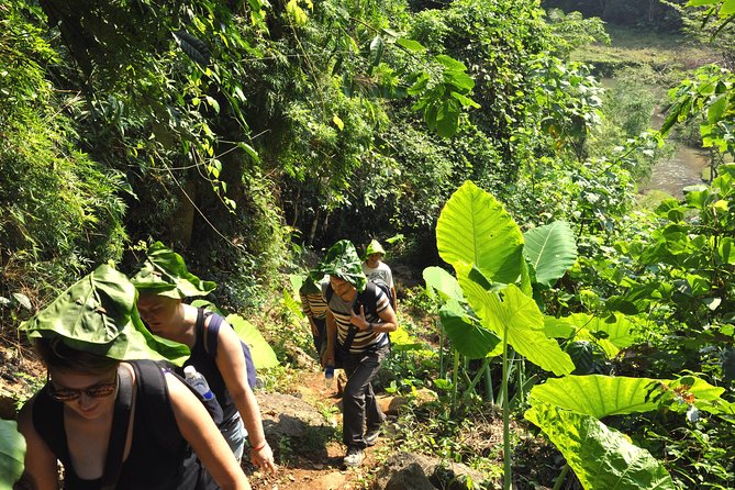 4-Day Jungle Trekking in Ba Be National Park - Overview and Experience
