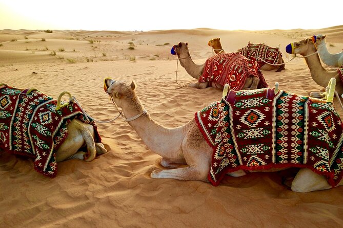 4-Day Private Tour of Dubai With Burj Khalifa & More - Tour Itinerary and Activities
