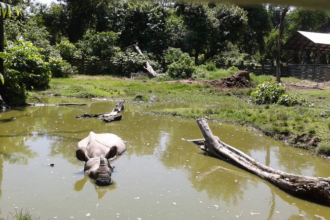 4 Days Bardia National Park Tour - Tour Itinerary