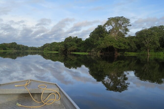 4 Days Tour to Tambopata National Reserve - Overview of Tambopata National Reserve