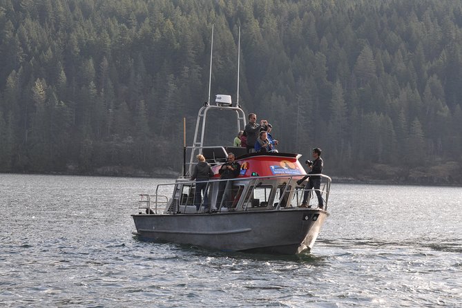4 Hour Covered Boat Whale and Wildlife Tour - Tour Details and Inclusions