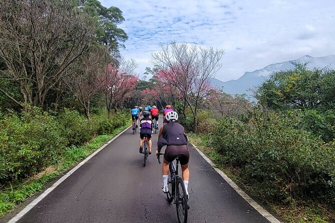 4 Hour Cycling in Taipei - Pricing and Booking