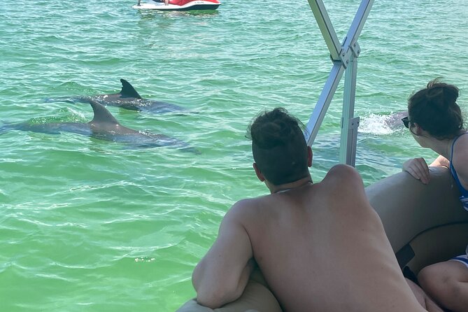 4 Hour Dolphin and Sandbar Cruise - Activity Overview