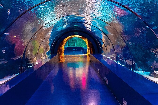 4-Hour Guided Antalya Aquarium Tour - Overview of Antalya Aquarium Tour