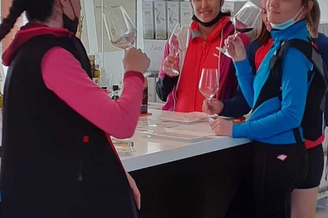 4-Hour Guided E-bike Tour of the Two Wineries in Bardolino - E-bike Rental and Safety Briefing