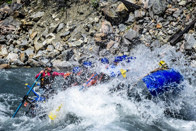 4-hour Guided White Water Rafting Trip  - Revelstoke - Trip Details and Inclusions