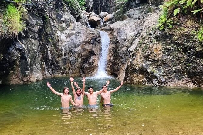 4-Hour Jungle Hike and Waterfall Swim - Overview and Meeting Details