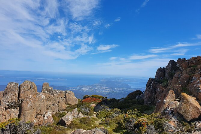 4-Hour Mt Wellington Arrival Tour With Organ Pipes Walk - Mt Wellington Exploration