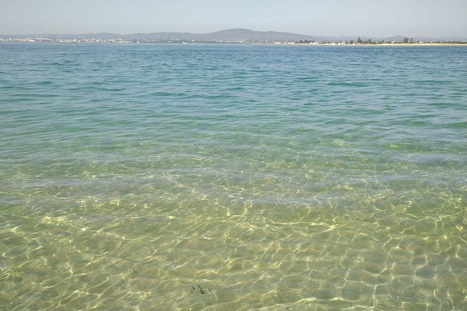 4-Hour Private Boat Tour in Ria Formosa - Cancellation Policy