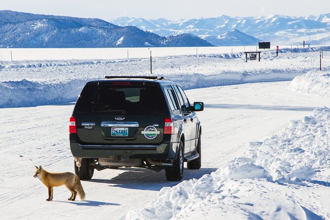 4 Hour Snowshoe in Grand Teton National Park - Additional Details and Policies