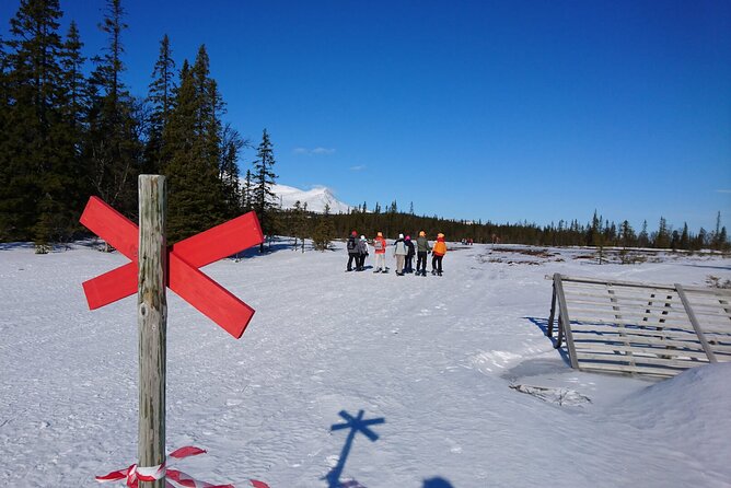 4-Hour Snowshoeing With Outdoor Lunch in Åre, Sweden - Discovering the Majestic Winter Landscape of Åre